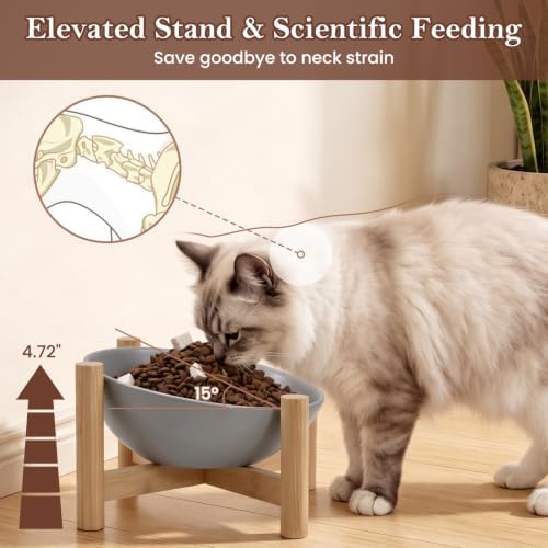 15° Slanted Rim Ceramic Cat Bowl, Anti-Spill for Small Cats - Image 3