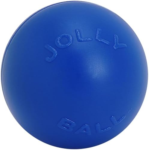 Jolly Pets Push-n-Play Ball Dog Toy, 10 Inches/Large, Blue by JollyPets