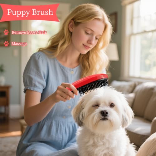 Comma-Shaped Small Dog Brush, Puppy Essentials (Rose Red) - Image 6