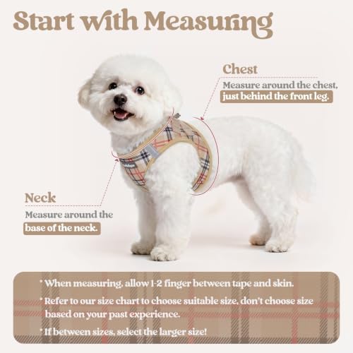rabbitgoo Dog Harness Small Sized and Leash Set, Step-in Puppy Pet Vest - Image 2