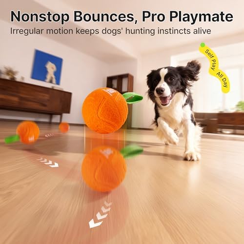 Potaroma Dog Ball with Rope Handle, Motion Activated Bouncing E-TPU Toy - Image 4