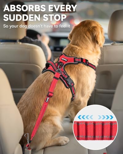 Joytale 3-in-1 Bungee Dog Seat Belt for Car, Medium and Large Dogs, Red - Image 3