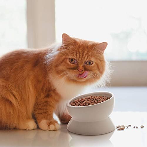 Y YHY Elevated Cat Food Bowl, Raised Food and Water Bowl for Cat and Small Dog, Tilted Ceramic Water Bowls No Spill,15oz, Dishwasher Safe - Image 2