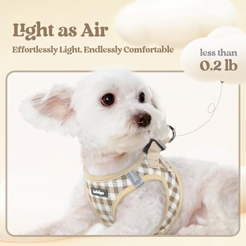 rabbitgoo Dog Harness Small Sized and Leash Set, Step-in Puppy Pet Vest - Image 3