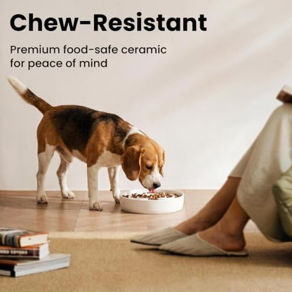 Ceramic Slow Feeder Dog Bowls 1.6 Cups for Medium & Small Fast Eaters,White - Image 5