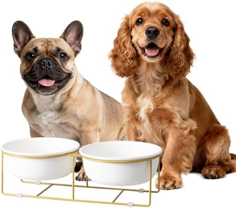 Elevated Dog Bowls for Food and Water - Double Ceramic Bowls with Metal Stand - Raised Feeding Station for Small and Medium Dogs - Each Holds 600ml / 3.2 Cups (Approx. 320g) - White by HCHLQLZ