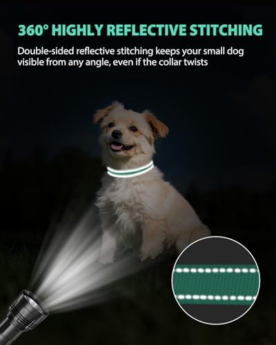 Joytale Feather-Light Dog Collar for Small Dogs & Puppies, 5/8", Turquoise - Image 5