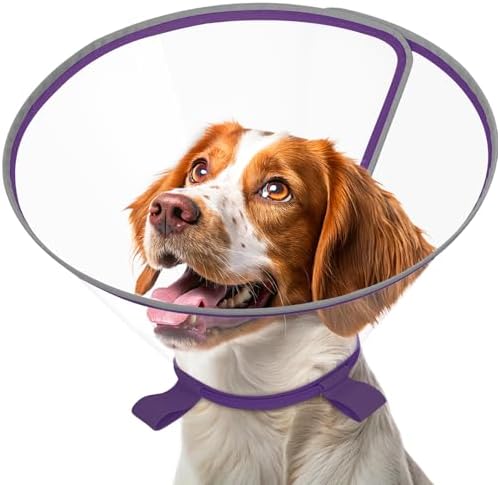 Clear Dog Cone for Medium Dogs Corgi, E-Collar After Surgery by Didopet