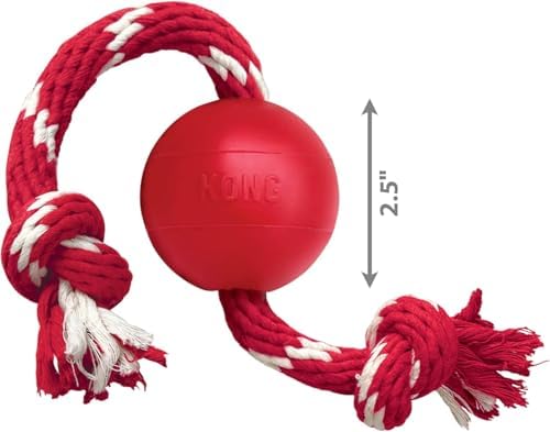 Kong Ball with Rope, Natural Rubber Fetch and Tug Toy, Red, for Small Dogs - Image 4