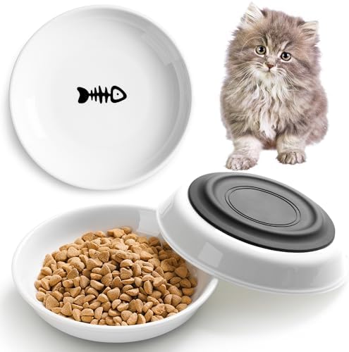 Cat Food Bowls, Whisker Friendly Ceramic Cats Bowls with Nonslip Silicone Base, Pack of 3 Quiet Dishes and Plates for Feeding Indoor Cats, Kittens and Small Dogs(Fishbone,Deeper) by Kitwinney