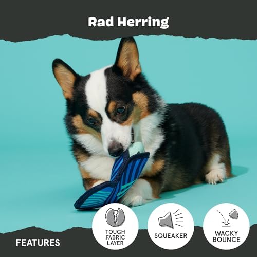 BarkBox Rad Herring Super Chewer - 2-in-1 - Toy for Large Dogs - Image 4