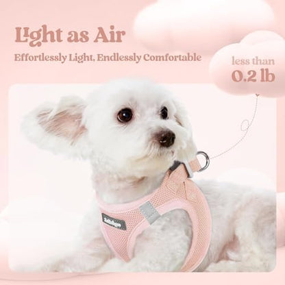 rabbitgoo Dog Harness Medium Sized and Leash Set, Step-in Puppy Pet Vest - Image 3