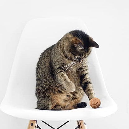 Cat Ball Toys by Americat – Made in USA – Safe Cardboard Cat Toys – for Interactive and Independent Play, Exercise & Stress Relief for All Breeds & Ages (Variety Pack of 3 Balls) - Image 3