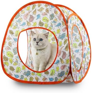 Andiker Cat Tent, 3 Holes Safe and Strong Cute Cats Tunnel Collapsible Easy to Carry Cat House for Indoor Cats Kittens Hiding Playing Training Sleeping (Tent Bird) by Andiker-ServingforYou