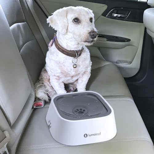 LumoLeaf No Spill Water Bowl for Dogs, Slow Feeder for Messy Drinkers, Drip-Free, Splash-Proof Design (Grey, 35oz) - Image 5
