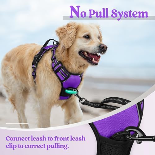 rabbitgoo Dog Harness, No Pull for Large Dogs with 2 Leash Clips, Pet Vest - Image 5