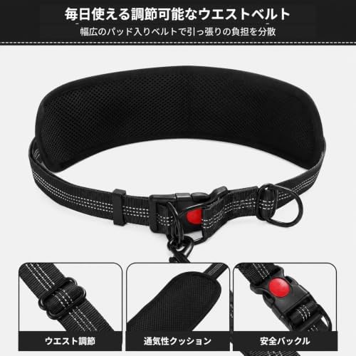 Hands Free Double Dog Leash, 4 Reflective Padded Handles, Adjustable Waist Belt 27-51", Shock-Absorbing Bungee, 360° Swivel Clips, for Small, Medium & Large Dogs, Walking Jogging Running - Image 6