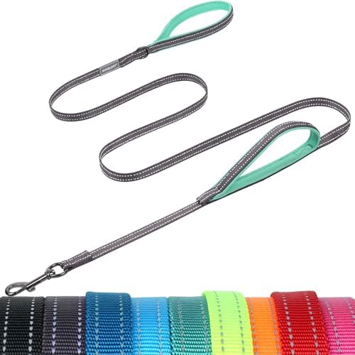 VIVAGLORY Double Handle Dog Leash Twingrip, 5ft x 1/2in, Grey by VIVAGLORY