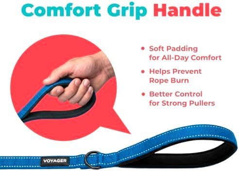 Best Pet Supplies Voyager Nylon Dog Leash - Royal Blue, Small - Image 6
