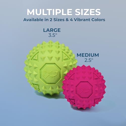 Best Pet Supplies Squeaky Dog Toys with Soft Durable Fabric for Small, Medium and Large Pets Interactive Toy for Indoor Play, Supports Active Biting and Play - Blue, Large - Image 5