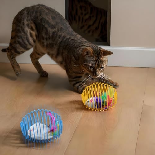 Jecery 5 Pcs Cat Toys Spring,Cute Mouse,Bright Color - Image 5