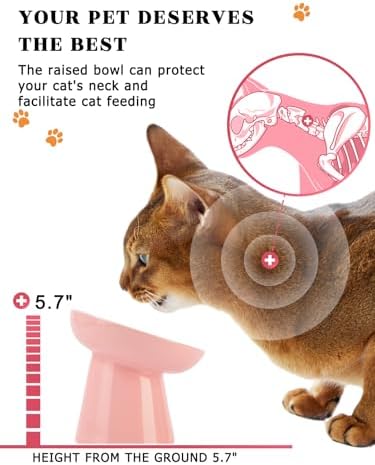 Y YHY 6 Inch Slow Feeder Bowl, Elevated Dog & Cat Bowl, Ceramic, Anti Vomiting, Pink - Image 4