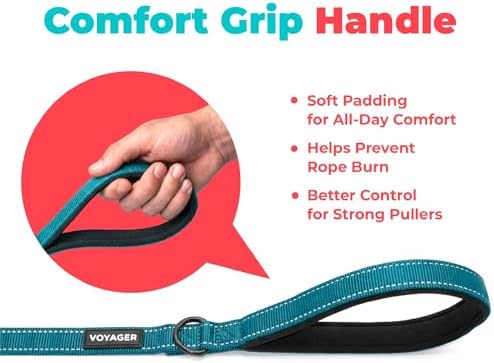 Best Pet Supplies Voyager Nylon Dog Leash - Turquoise, Large - Image 5