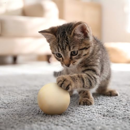 Cat Scratcher, Cat Natural Sisal Scratching Pad, Kitten Interactive Toy with Ball Track Spring Ball for Chasing Hunting Mental Physical Exercise Puzzle (4PCS cat Ball) - Image 5