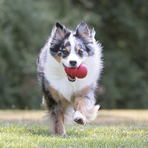 KONG Classic Stuffable Dog Toy, Natural Rubber Chew, for XX-Large Dogs - Image 3