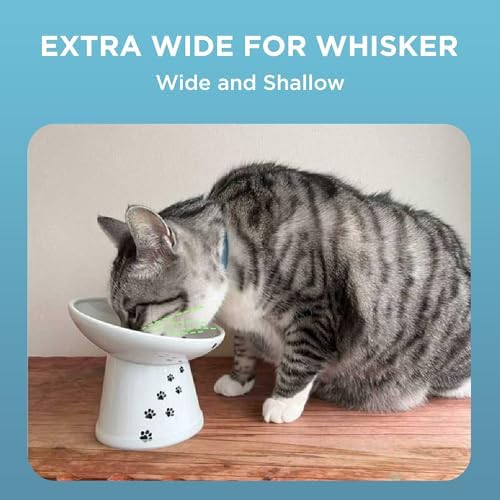 Necoichi Ceramic Elevated Cat Food Bowl, 15° Tilted (Cat, Extra Wide Tilted) - Image 4