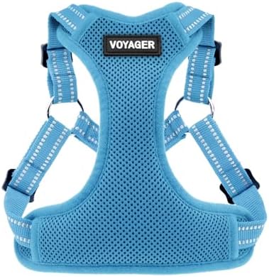 Voyager Step-in Flex Adjustable Dog Harness - Baby Blue, Large by BestPetSuppliesLLC
