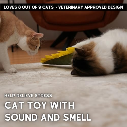 pawdaz Large Cat Toy Dino - Catnip Matatabi Silvervine Filled Help Relief Stress Interactive Indoor Cat Kicker (Green) - Image 3