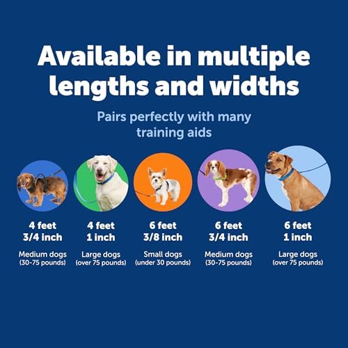 PetSafe Nylon Dog Leash - Strong, Durable, Traditional Style Leash with Easy to Use Bolt Snap - 1 in. x 6 ft., Royal Blue - Image 5