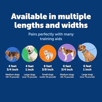 PetSafe Nylon Dog Leash - Strong, Durable, Traditional Style Leash with Easy to Use Bolt Snap - 1 in. x 6 ft., Royal Blue - Image 5