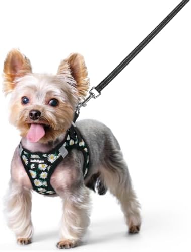 rabbitgoo Dog Harness Small Sized and Leash Set, Step-in Puppy Pet Vest by rabbitgoo