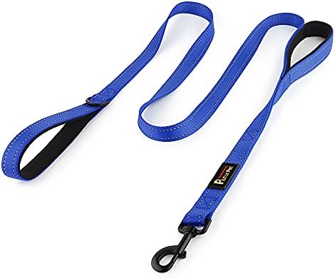Plutus Pet Double Handle Dog Leash, 6 FT Long, for Medium Large Dogs by PLUTUSPET