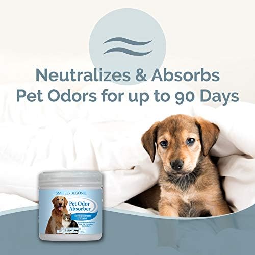 SMELLS BEGONE 15oz Gel Pet Odor Eliminator - Absorb & Remove Strong Odors from Pets, Cat Litter, Dog Poop, Urine Smells - Eliminate Whole Home Odors with Essential Oils (2-Pack, Pet Soothing Breeze) - Image 2