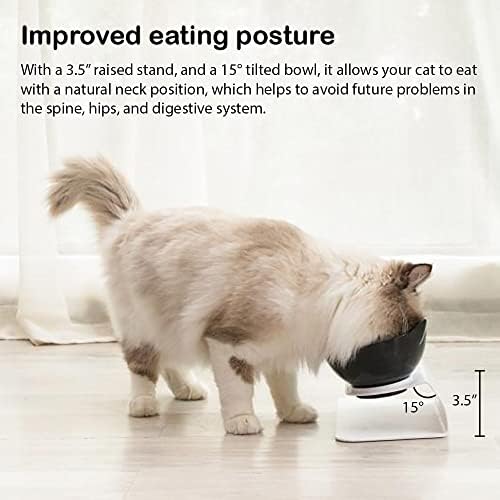 Leo's Paw Anti-Vomiting Orthopedic Cat Bowl Elevated 15° Tilted Cat Food and Water Bowls for Better Digestion Raised Stand with Non-Slip Bottom Detachable Feeding Bowl (Double Clear) - Image 5