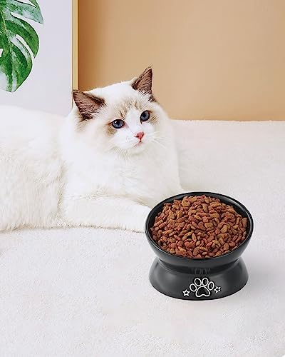 LoeJan Elevated Cat Food Bowl, 5 Oz Ceramic Raised and Tilted Water Bowl, Anti Vomiting and Protect Pets' Spines Dishes for Small Dog, Fat Faced Cat, Kitten (Black Pattern, 1 Pack) - Image 7