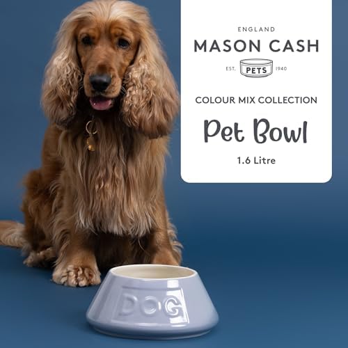 Mason Cash: Non-Tip Dog Bowl - Grey - 8.3", 54oz - Durable Ceramic Food & Water Angled Dish, Microwave-Dishwasher Safe, Pet Meal Feeding & Hydration - Image 3
