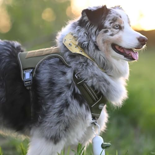AUROTH Tactical Dog Harness for Large Dogs No Pull Adjustable Pet Harness Reflective K9 Working Training Easy Control Pet Vest Military Service Dog Harnesses - Image 6