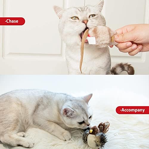 Gigwi Chirping Bird Cat Toy Set, Interactive Chasing Toy for Indoor Cat, Motion Activated Kitten Play Toys, Squeaky Cats Animal Feather Toy for All Breeds Cats Kicker - Image 6