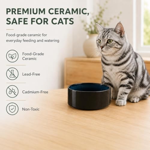 Havniva Cat Bowls Set of Two, 5.1” Ceramic Cat Food Bowls, Cat Water Bowl - Image 4