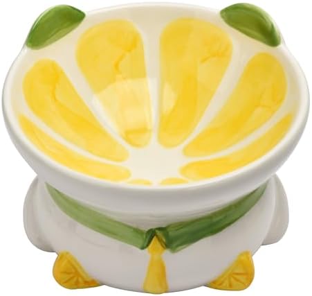 Ceramic Raised Cat Bowl for Indoor Cats,Elevated Cat Food Bowls Whisker Friendly,Anti Vomiting & Protect Pet's Spine,Cute Tilted Dish for Flat Faced Kitten (Orange Shaped) by BUYNEED