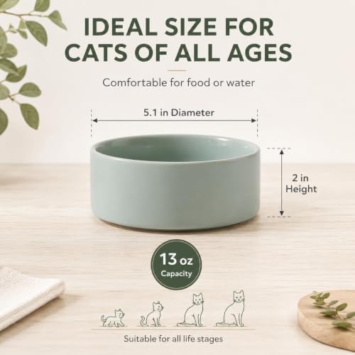 Havniva Cat Bowls Set of Two, 5.1” Ceramic Cat Food Bowls, Cat Water Bowl - Image 2