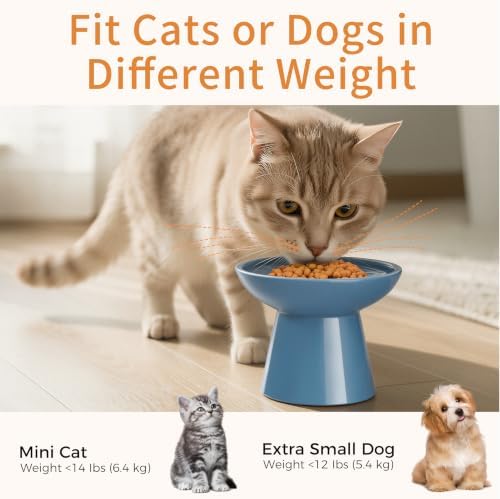LoeJan Ceramic Cat Bowls, Elevated Cat Food and Water Bowls Set, Extra Wide and Raised Ceramic Bowls, Anti-Vomit Whisker-Free Pressure Cat Feeder for Kittens to Adult Cats - Image 6
