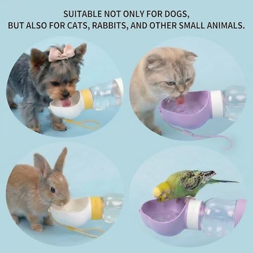 Portable Dog Water Bottle, Travel Bowls, Doggy Food Container - Image 6