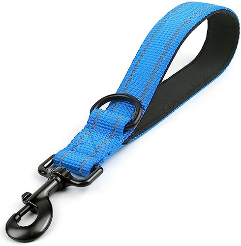 Joytale Short Dog Leash for Close Control & Training, 12", Aqua Blue by Joytale