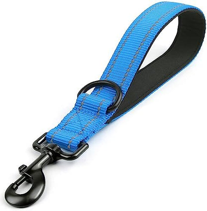 Joytale Short Dog Leash for Close Control & Training, 12", Aqua Blue by Joytale