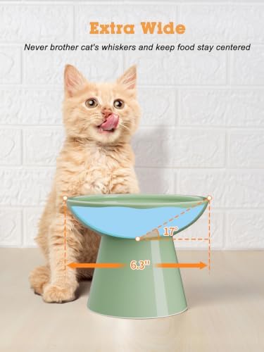 LoeJan Elevated Cat Food and Water Bowls Set, Extra Wide and Raised Ceramic Bowls, Anti-Vomit Whisker-Free Pressure Cat Feeder for Kittens to Adult Cats and Small Dogs - Image 6